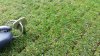 Maredo MT424 VibeSpike-Seeder