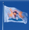Prestige Flag - Club Logo Flags